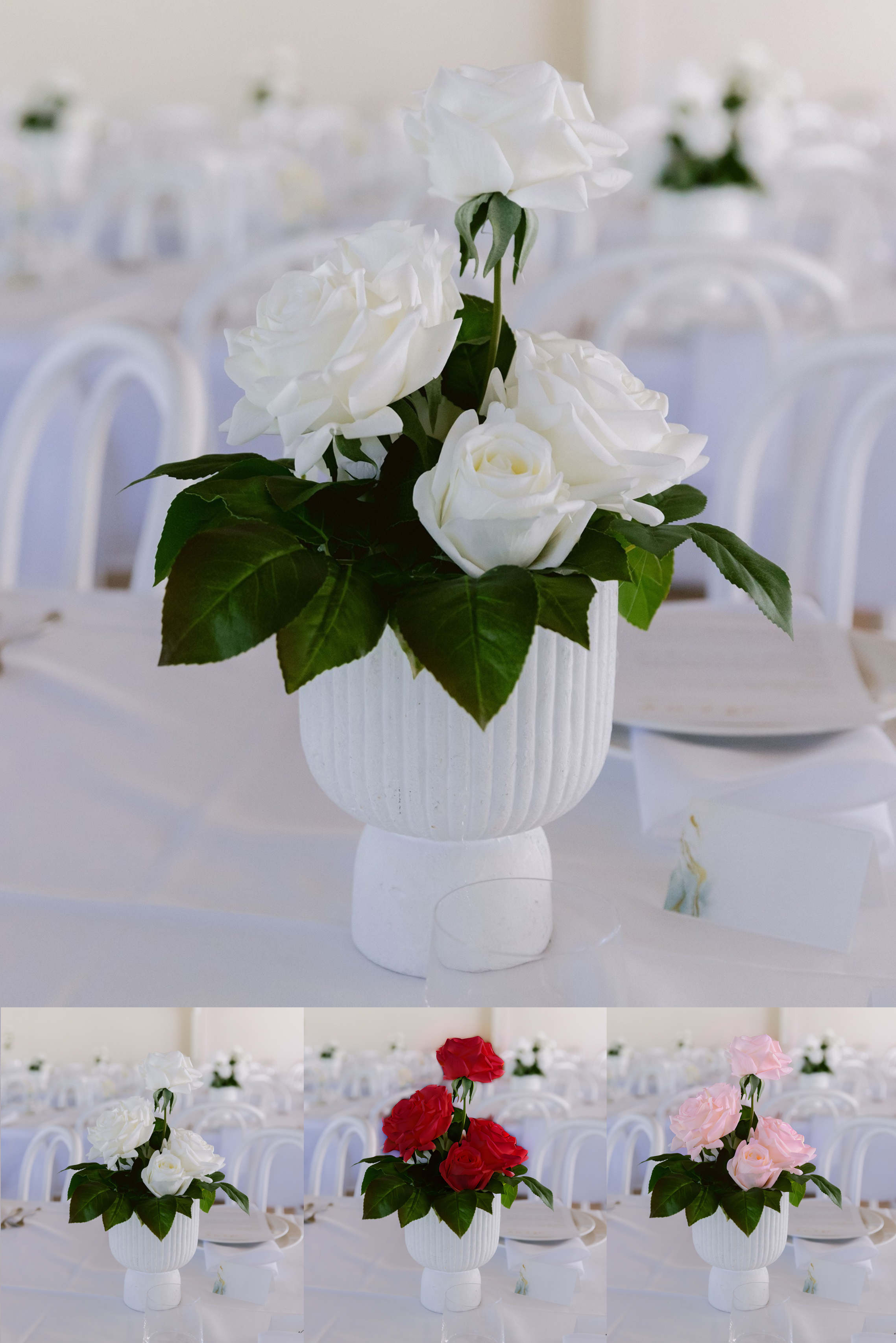 Pure Elegance - Signature Collection