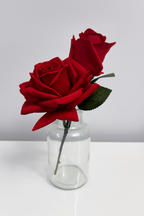 Pure Elegance Bud Vase | Double Stem | Red