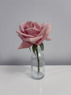 Pure Elegance Bud Vase | Single Stem | Ballet Pink