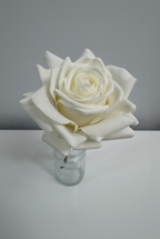 Pure Elegance Bud Vase | Single Stem | White