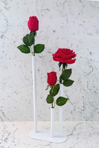 Pure Elegance Signature Collection | Triple Stem Centrepiece Arrangement