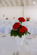 Pure Elegance Signature Collection | Small Centrepiece Arrangement