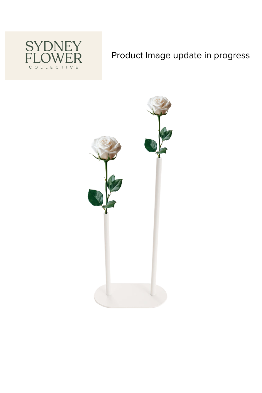 Modern Romance Collection | Double Stem Centrepiece Arrangement