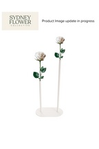 Modern Romance Collection | Double Stem Centrepiece Arrangement