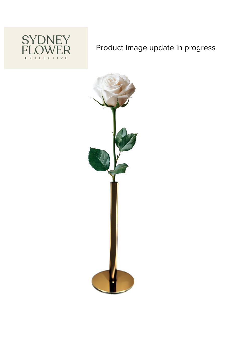 Modern Romance Collection | Single Stem Midi Accent
