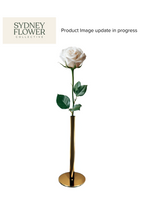 Modern Romance Collection | Single Stem Midi Accent