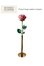 Modern Romance Collection | Single Stem Midi Accent