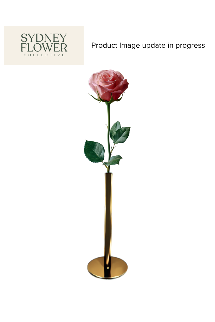 Modern Romance Collection | Single Stem Midi Accent