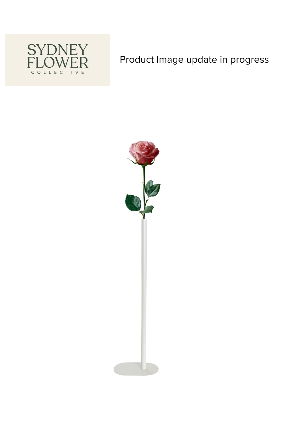 Modern Romance Collection | Single Stem Tall Accent