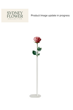 Modern Romance Collection | Single Stem Tall Accent