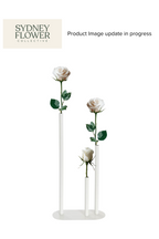 Modern Romance Collection | Triple Stem Centrepiece Arrangement