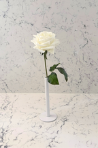 Pure Elegance Signature Collection | Single Stem Short Accent
