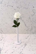 Pure Elegance Signature Collection | Single Stem Short Accent