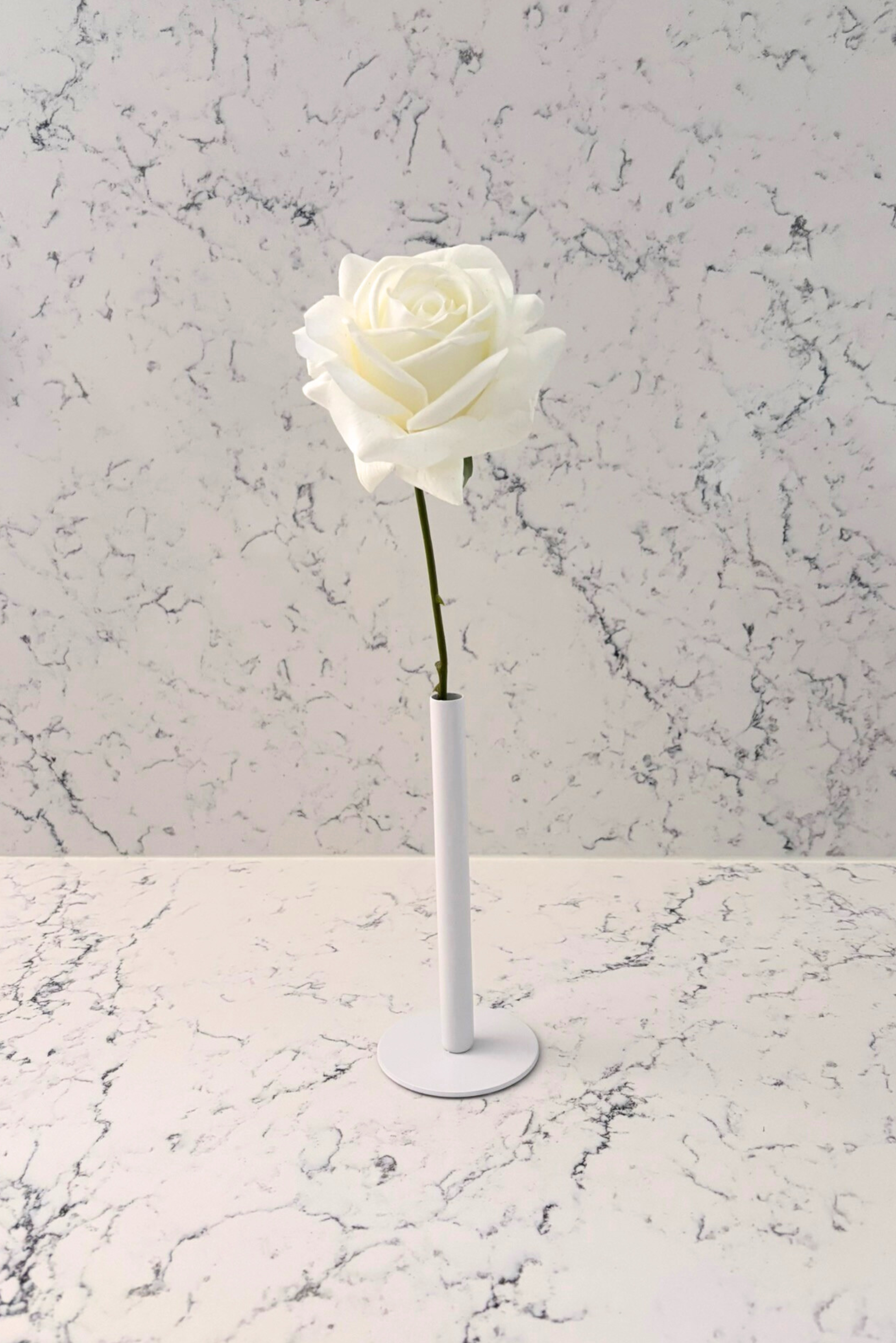 Pure Elegance Signature Collection | Single Stem Short Accent