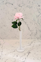 Pure Elegance Signature Collection | Single Stem Short Accent