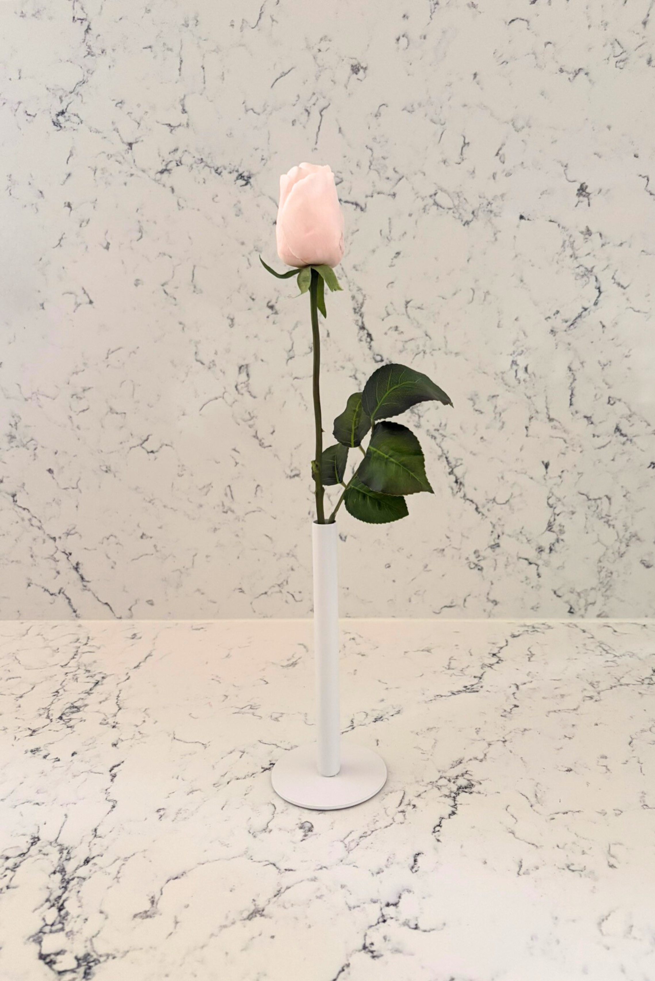 Pure Elegance Signature Collection | Single Stem Short Accent