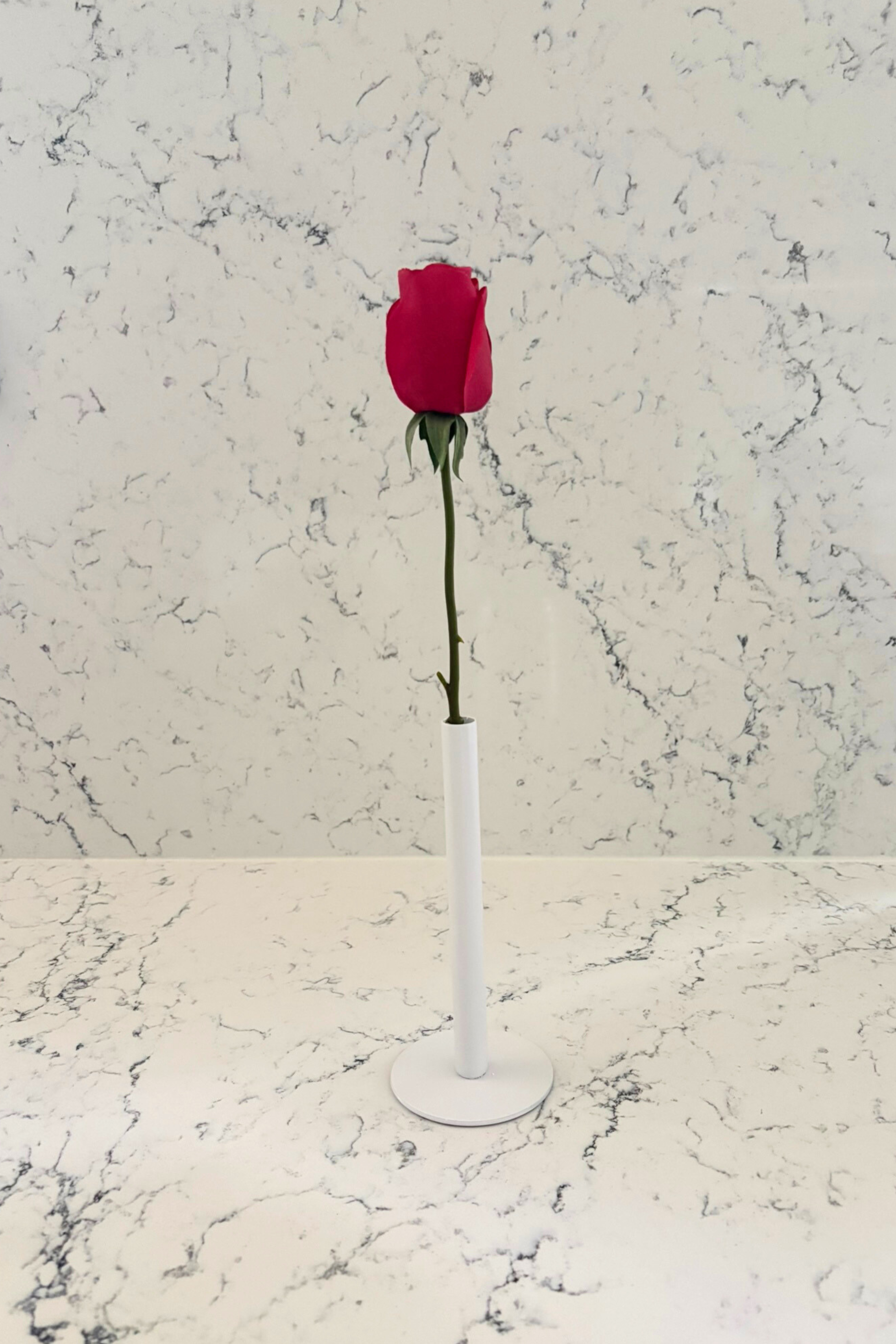 Pure Elegance Signature Collection | Single Stem Short Accent