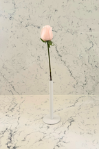 Pure Elegance Signature Collection | Single Stem Short Accent