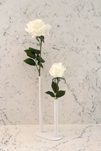 Pure Elegance Signature Collection | Double Stem Centrepiece Arrangement
